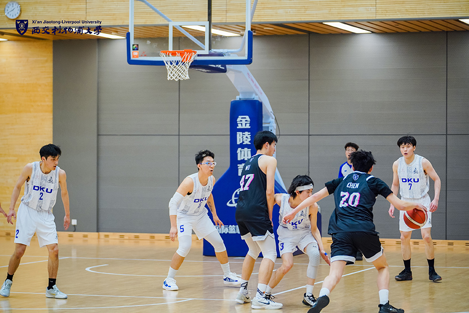 山东100-93青岛4利好！高诗岩游刃有余，谢智杰蜕变，陈林坚好使